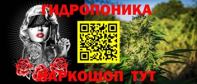 шишки Усть-Джегута