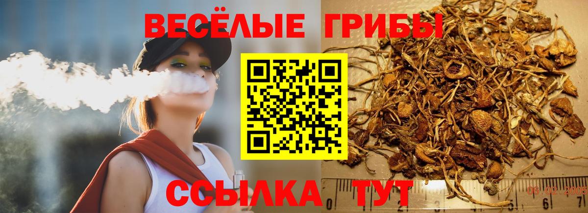 Псилоцибиновые грибы Psilocybe  где продают   Белорецк  Вход с VPN 